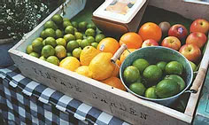 Emergency Food Assistance Program (TEFAP) - SMTCCAC Fruit Basket Photo